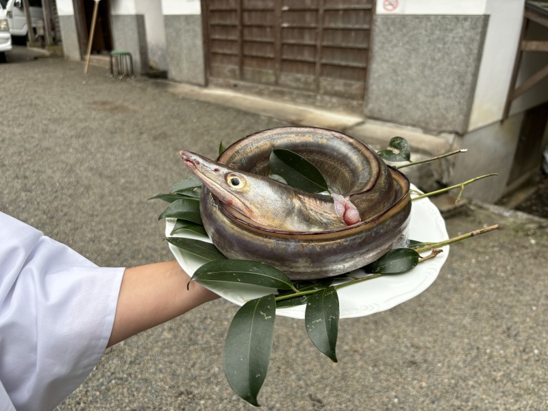 お供え物のハモ