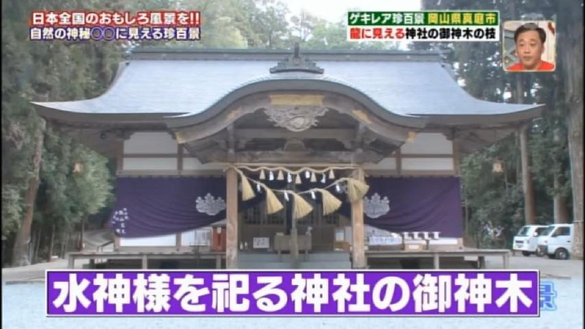 ゲキレア珍百景に登録されました！ | 髙岡神社