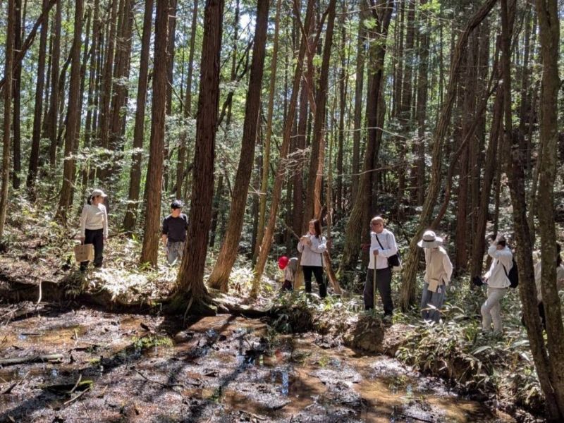 竜王池を散策する参加者の皆様
